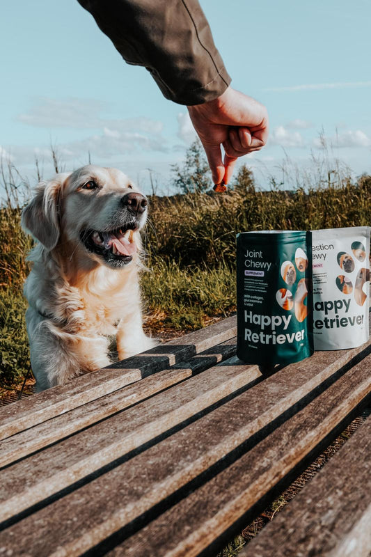 Spijsverteringssupplement voor hond Chewy